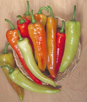 Inferno F1 Pepper Seeds - The Pepper Pantry (Formerly Marie Sharp's)